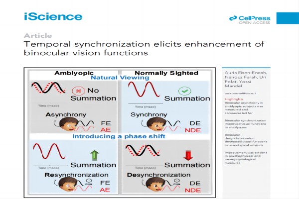 双眼整合的关键：时间同步（国际论文解析）