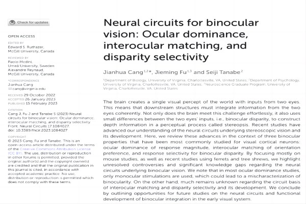 双眼视觉神经回路的扩展研究——国际论文解析